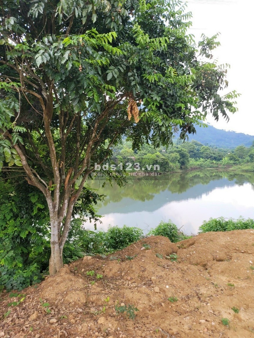 Diện tích sử dụng 800m2 Bám Hồ Đât Tại Hoà Sơn Lương Sơn, giá bán 3.x triệu/m2