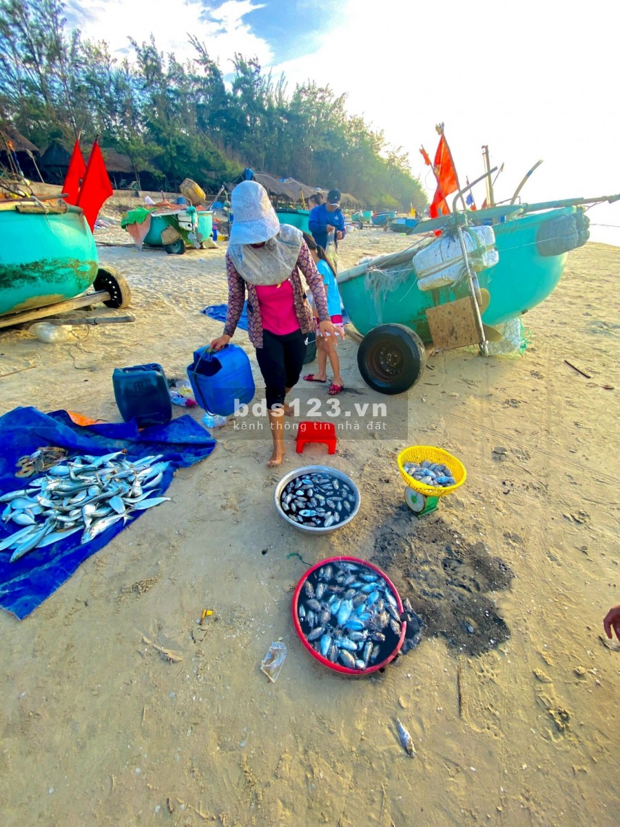 Thứ mà ai cũng muốn biết về Aria Vũng Tàu. lh: 0937381783 Trinh, giá chỉ từ 26 triệu/m2