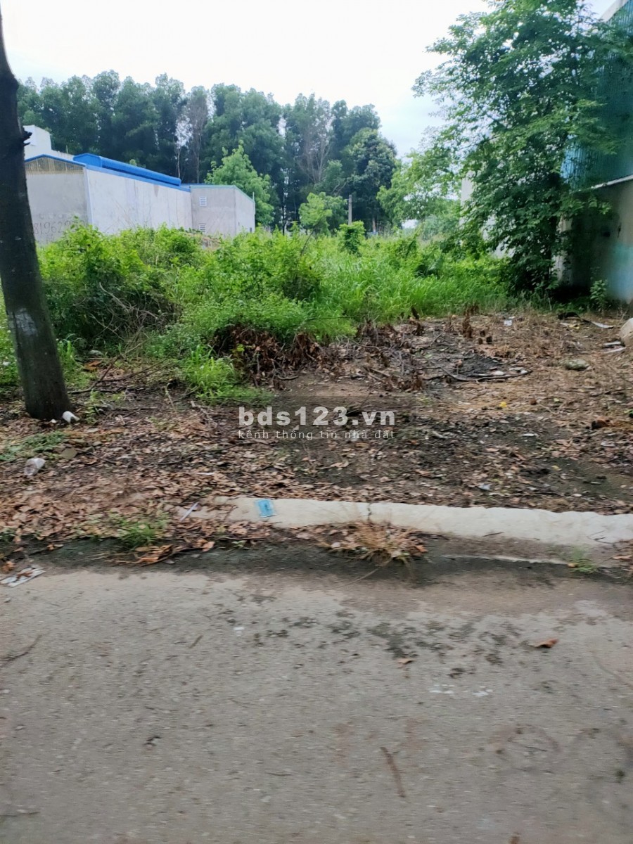 Ngân hàng VCB thanh lí 280m2 ngay vòng xoay Cổng Xanh, mặt tiền ĐT 742
