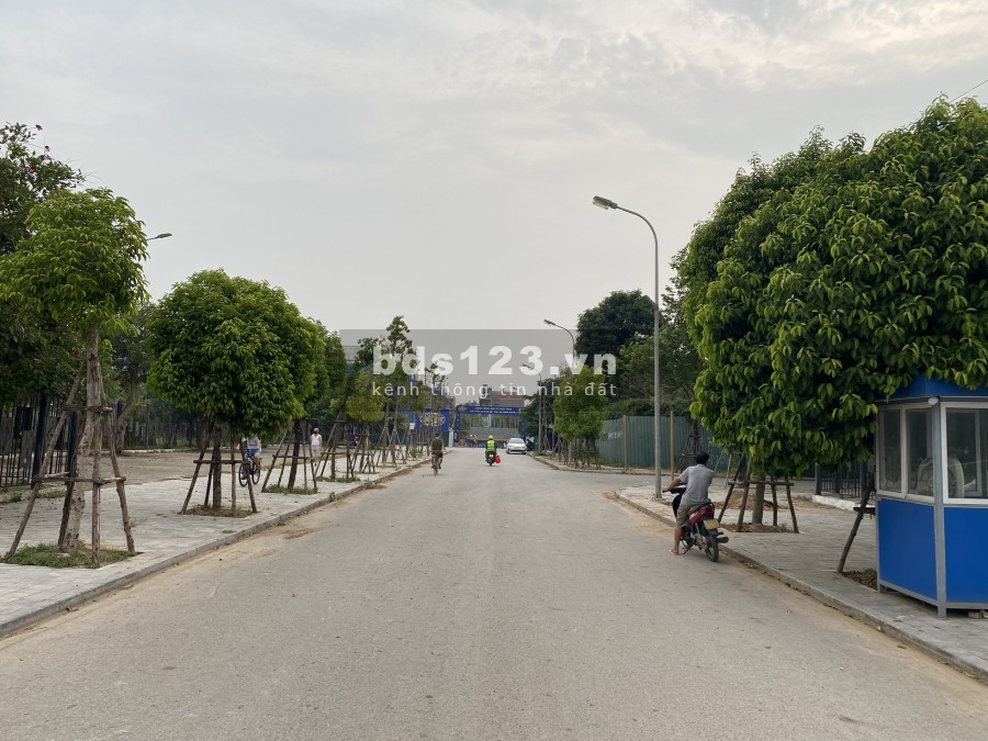Bán cắt lỗ biệt thự Nam Cường-KĐT Dương Nội 2 giá 11,5 tỷ, mặt tiền 10m, đường 25m.LH:0386502682