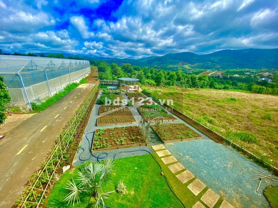 Bán đất nền biệt thự Nam Ban Lâm Hà Đà Lạt để nghĩ dưỡng, sổ hồng cho từng nền