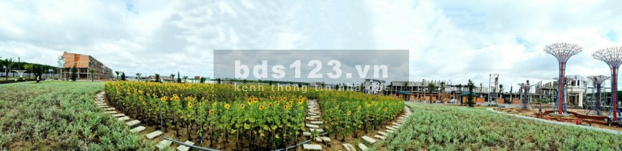 Chiết khấu 4% và nhiều chính sách ưu đãi khác khi khách hàng đầu tư đất nền nay cửa ngõ sân bay LT