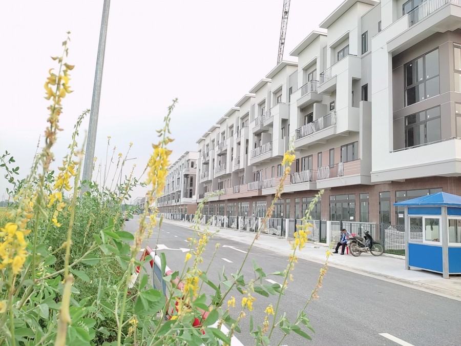 Bán căn ShopHouse Diamond rộng thoáng mặt đường to giá như con kiến số lượng có giới hạn