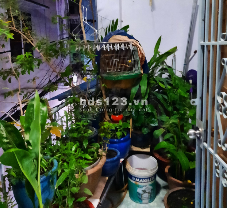Bán Nhà 2 tầng đường thông Quang Trung, P.11, GV dt 36m2 giá 3,25 tỷ thương lượng