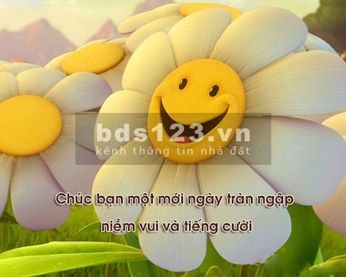 Bán nhà bề ngang khủng 10m 5 tầng Nguyễn Thái Học dt 42m2 giá chỉ 7.8 tỷ