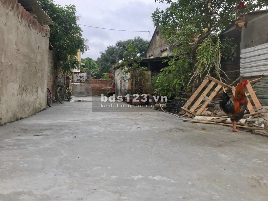 Chính chủ cần tiền bán đất Đình Dù Văn Lâm Hưng Yên, đường rộng 2.7m