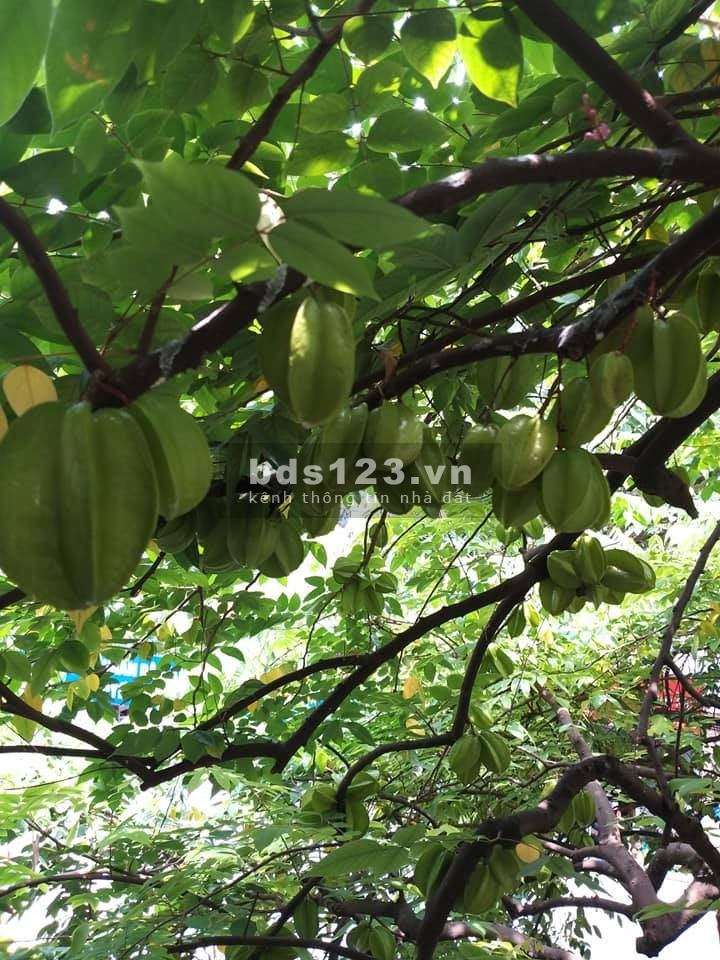 Bán nhà nguyên căn 4 tầng phố Cát Linh trên diện tích sổ đỏ 100m2, lhcc