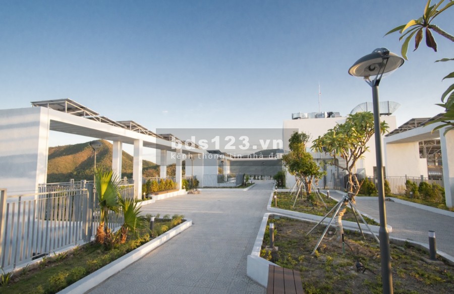 Chung cư Ecolife Riverside hướng tốt, đúc kiên cố, kiến trúc đẹp, thông thoáng, lhcc