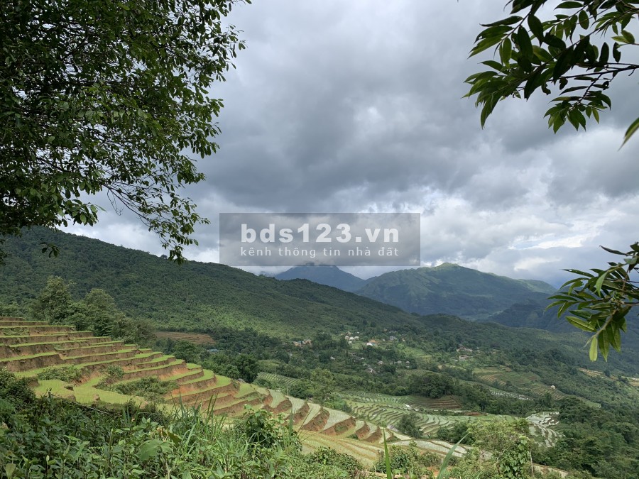 Bán mảnh đất du lịch 4 mùa sapa 2- y tý view ruộng bậc thang giáp suối giá rẻ