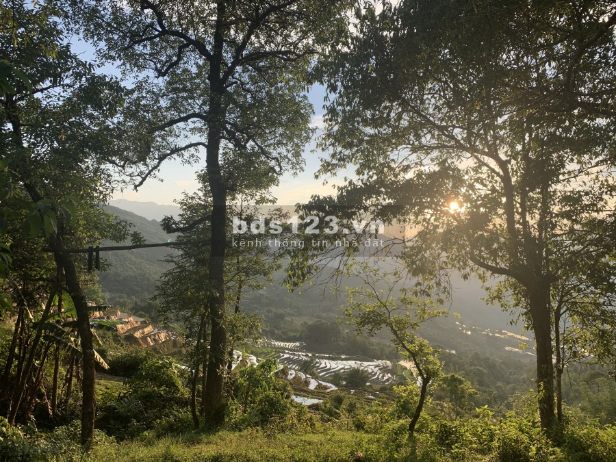 Bán mảnh đất du lịch 4 mùa sapa 2- y tý view ruộng bậc thang giáp suối giá rẻ