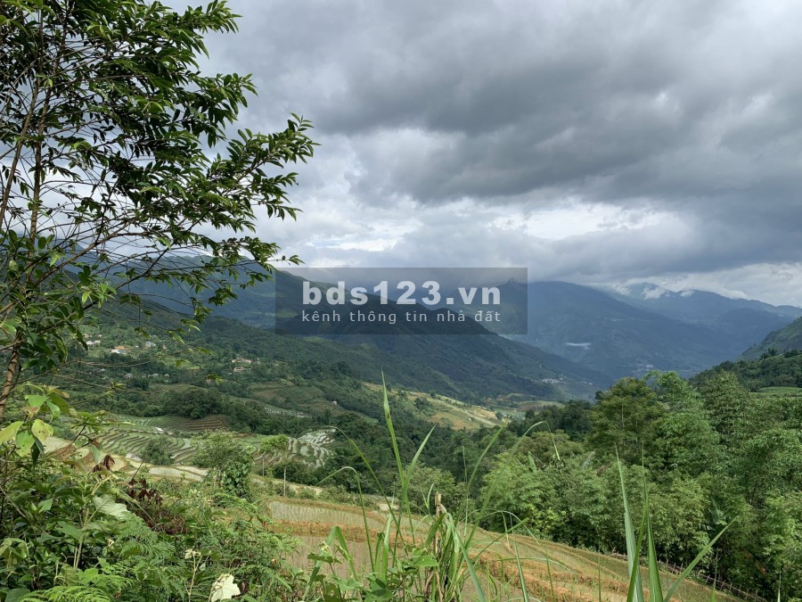 Bán mảnh đất du lịch 4 mùa sapa 2- y tý view ruộng bậc thang giáp suối giá rẻ