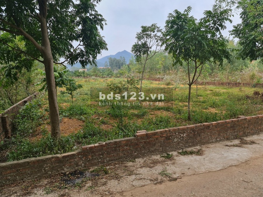 Đất sổ đỏ trên 1000m tại lâm trường, Minh Phú gần Việt Phủ Thành Chương chỉ hơn 3 triệu/m2