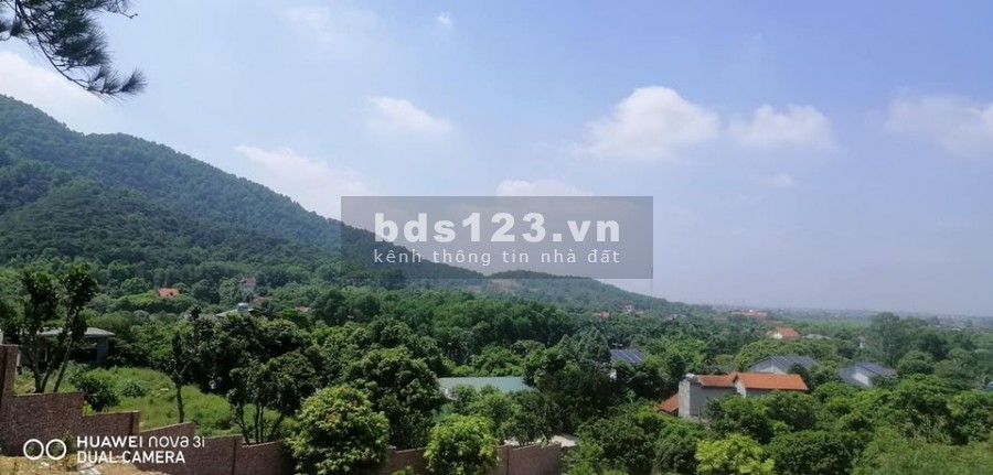 Đất sổ đỏ trên 1000m tại lâm trường, Minh Phú gần Việt Phủ Thành Chương chỉ hơn 3 triệu/m2