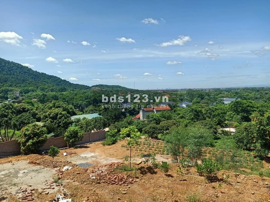 Đất sổ đỏ trên 1000m tại lâm trường, Minh Phú gần Việt Phủ Thành Chương chỉ hơn 3 triệu/m2