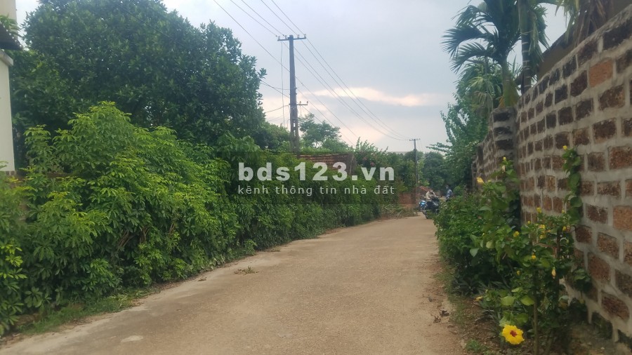 Đất sổ đỏ trên 1000m tại lâm trường, Minh Phú gần Việt Phủ Thành Chương chỉ hơn 3 triệu/m2