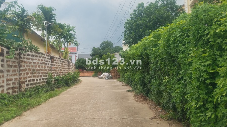 Đất sổ đỏ trên 1000m tại lâm trường, Minh Phú gần Việt Phủ Thành Chương chỉ hơn 3 triệu/m2