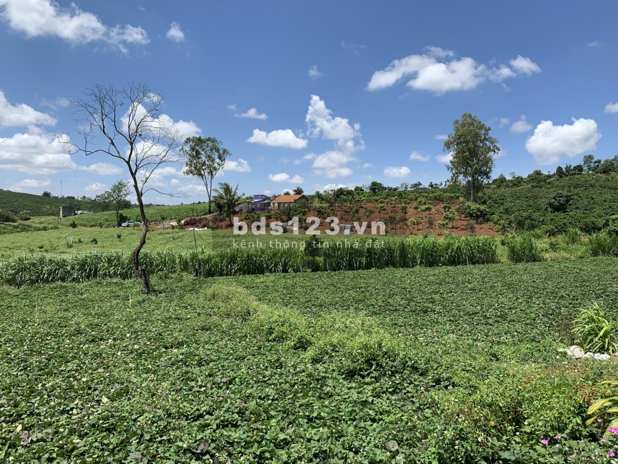 Bán đất view Hồ Phúc Thọ, Tân Hà, Lâm Hà, diện tích lớn, liên hệ 0919125862