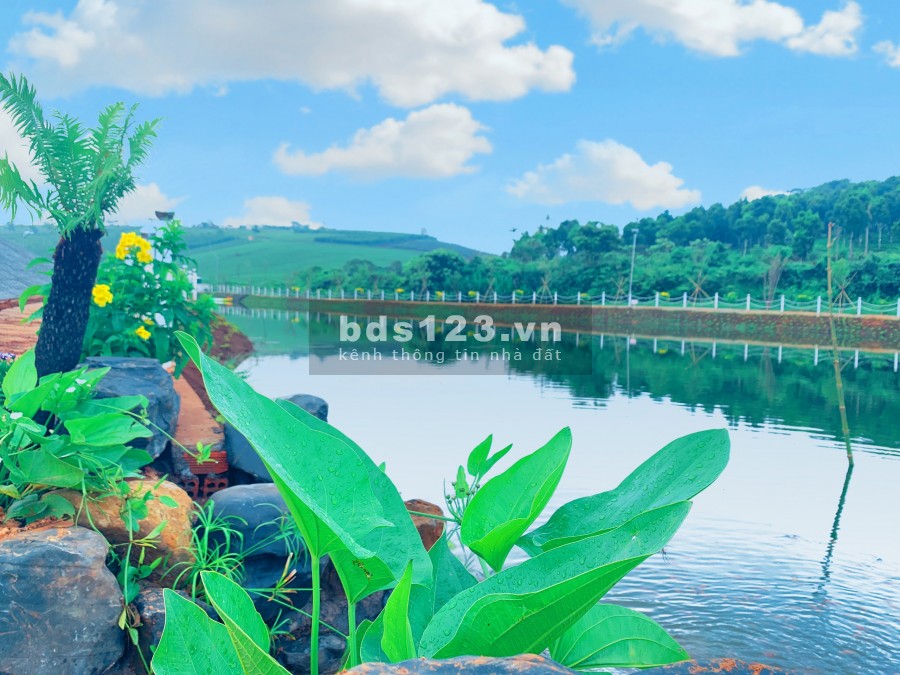 Bán 2 lô đất mặt tiền gần ngã 5 đambri. 10x32 thổ cư 200m. giá 840tr/1