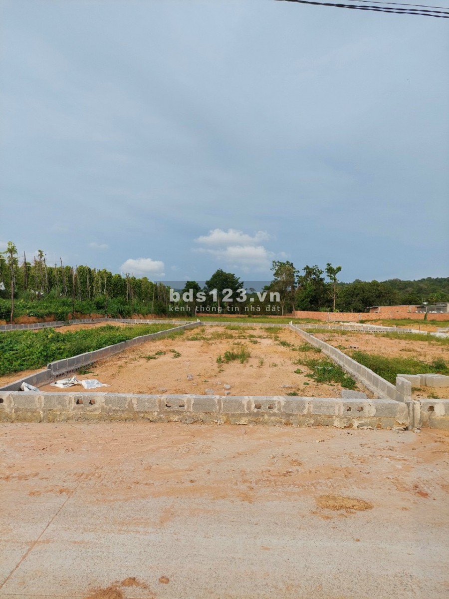 Bến Tràm tiềm năng đầu tư lợi nhuận cao chỉ với 180 triệu nền và nhiều ck cho kh đầu tư