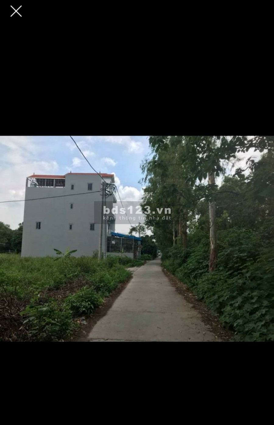 Bán đất đấu giá Ngọc Lịch Trưng Trắc Văn Lâm Hưng Yên, giá bán thoả thuận