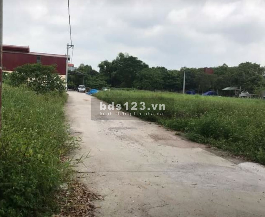 Bán đất đấu giá Ngọc Lịch Trưng Trắc Văn Lâm Hưng Yên, giá bán thoả thuận
