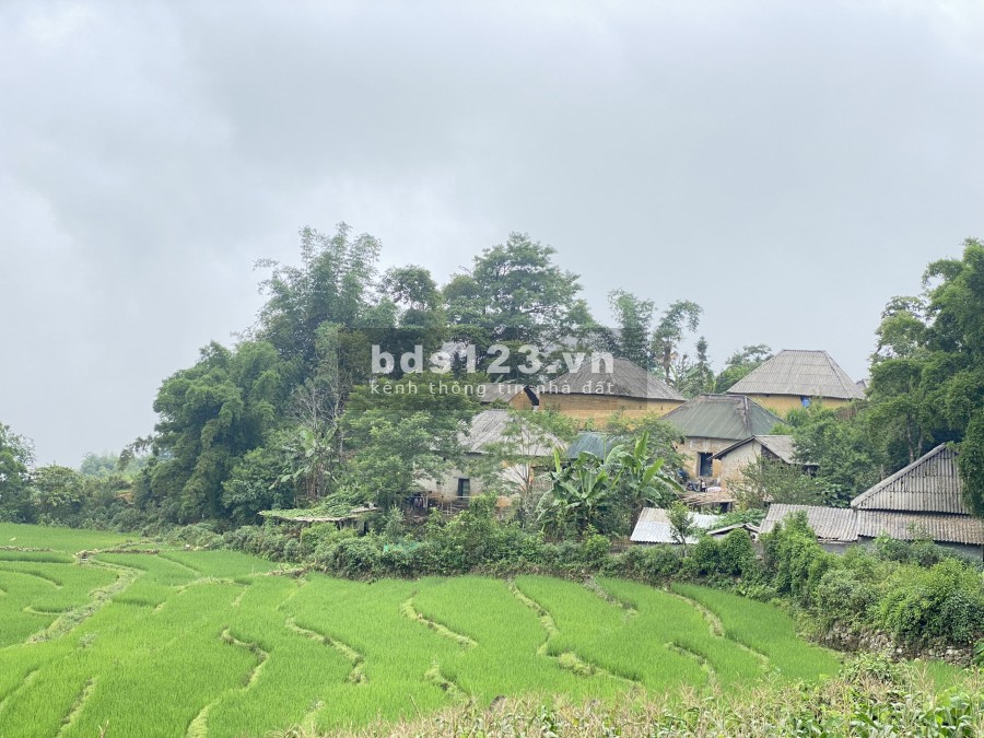 Mảnh đất Sa Pa 2 view ruộng bậc thang thung lũng Y Tý, giá thoả thuận chính chủ