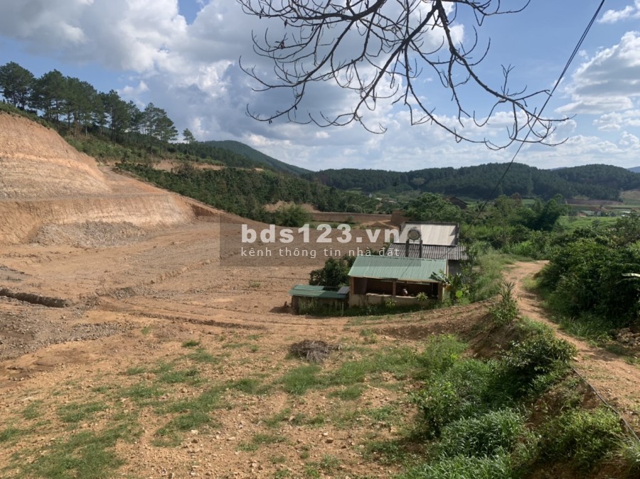 Bán đất thị trấn Nam ban, view rừng thông cách Đà Lạt 25km, sổ chính chủ, bàn giao ngay