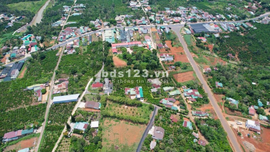 Cần thanh lý 2 lô đất đẹp liền kề TP Bảo Lộc, sổ riêng, giá rẻ, lh 0931296451