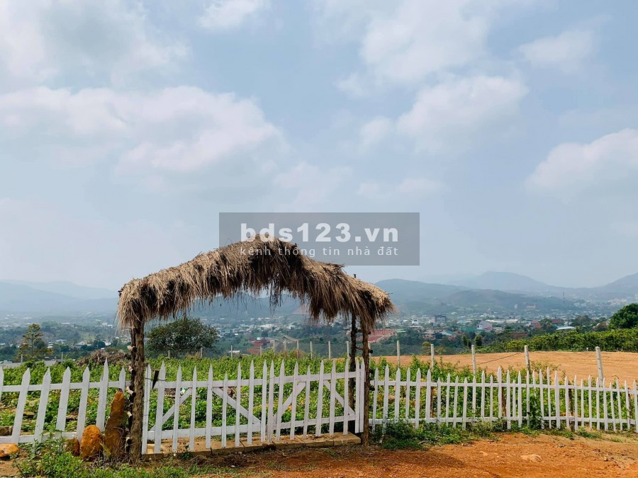 Cần thanh lý 2 lô đất đẹp liền kề TP Bảo Lộc, sổ riêng, giá rẻ, lh 0931296451