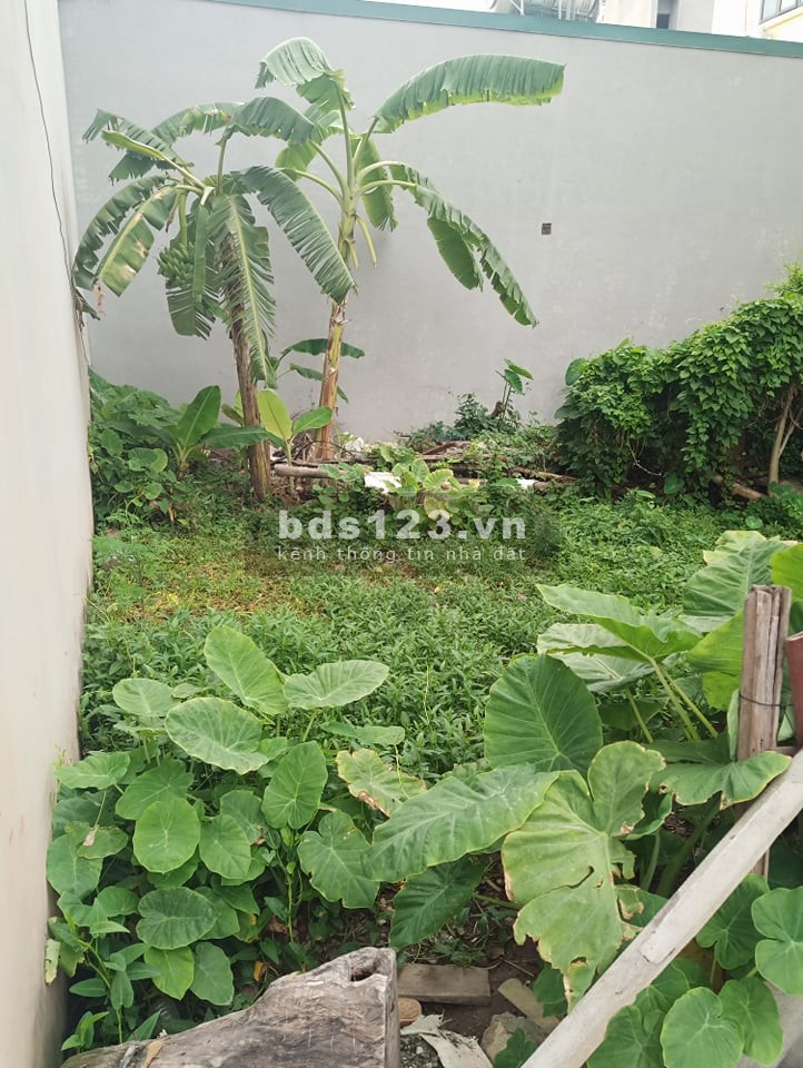 Rộng thênh thang, Bán lô đất Đội 6 Ngọc Hồi – Thanh Trì, Ôtô vào nhà, 70m2 chỉ 2.55 Tỷ