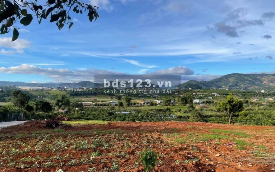 Đất vườn Nam Ban diện tích 223m2, thổ cư, đường betong 4m, chỉ 639 triệu.