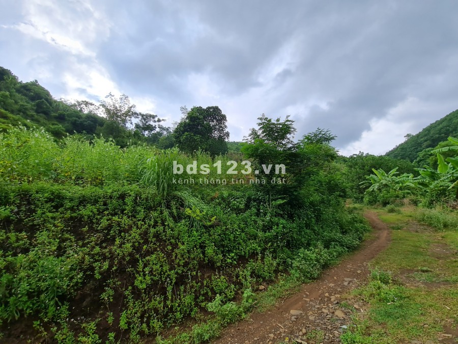 Hơn 6000m2 có 400m thổ cư Cao Phong Hoà Bình, pháp lý sạch, không tranh chấp, sang tên nhanh