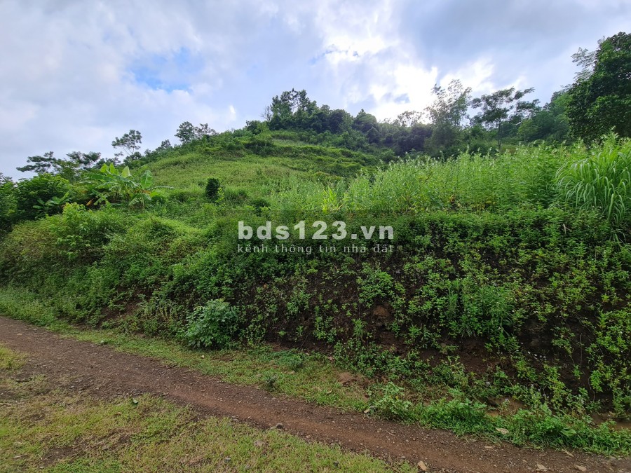 Hơn 6000m2 có 400m thổ cư Cao Phong Hoà Bình, pháp lý sạch, không tranh chấp, sang tên nhanh