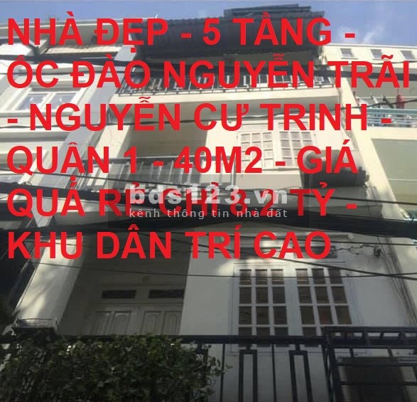 Bán nhà đẹp 5 tầng Ốc Đào Nguyễn Trãi Quận 1 40m2 giá rẻ chỉ 8.2 tỷ