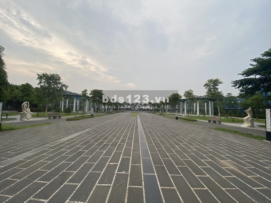 Bán căn góc Biệt thự Nam Cường 336m2, nở hậu thiết kế siêu đẹp, sân vườn rộng