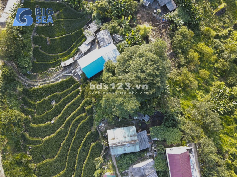 Cần bán Mảnh đất giá nhỏ xinh trung tâm đô thị du lịch Y Tý – Sapa 2 xây dựng quán cafe tuyệt đẹp