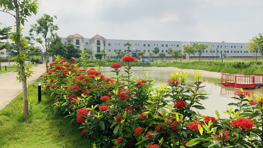 Bán căn shophouse mặt đường lớn view sông tào khê, chỉ còn duy nhất một căn. giá chủ đầu tư