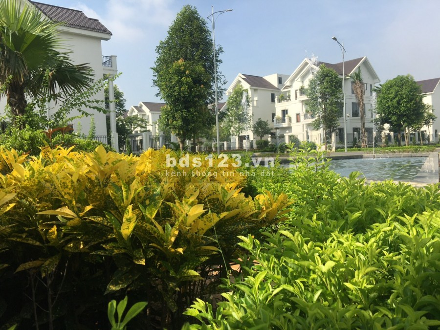 Bán Gấp Vài lô Ngoại Giao View công viên Hướng Đông Nam giá bán từ 3tỷ