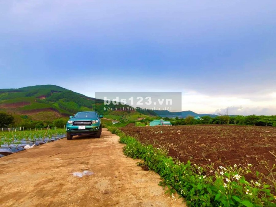 Chuyển nhượng đất vườn, homestay liền kề thành phố Bảo Lộc, gia thoả thuận