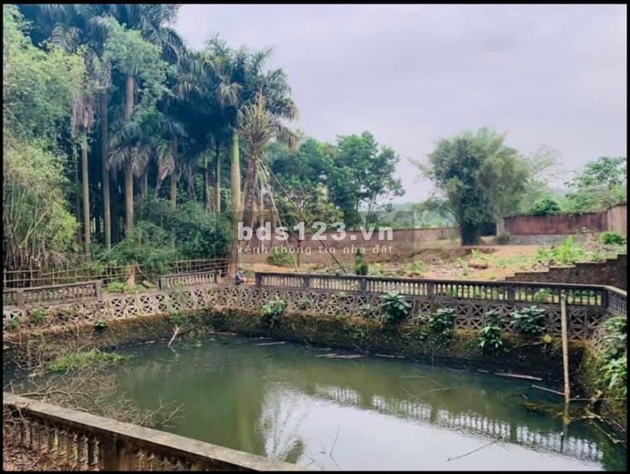 Đất diện tích 5100m2 có 400m thổ cư Hoà Sơn Lương Sơn Hoà Bình, giá bán 8.x tỷ