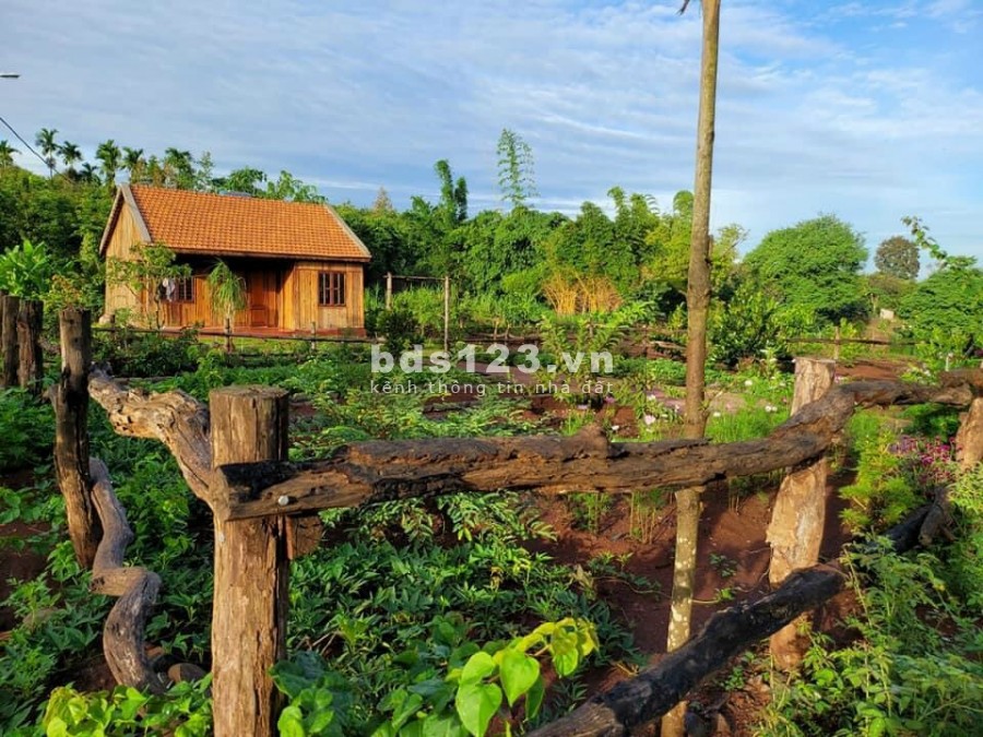 Chuyển nhượng đất vườn, homestay liền kề thành phố Bảo Lộc, gia thoả thuận