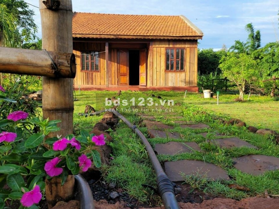 Chuyển nhượng đất vườn, homestay liền kề thành phố Bảo Lộc, gia thoả thuận