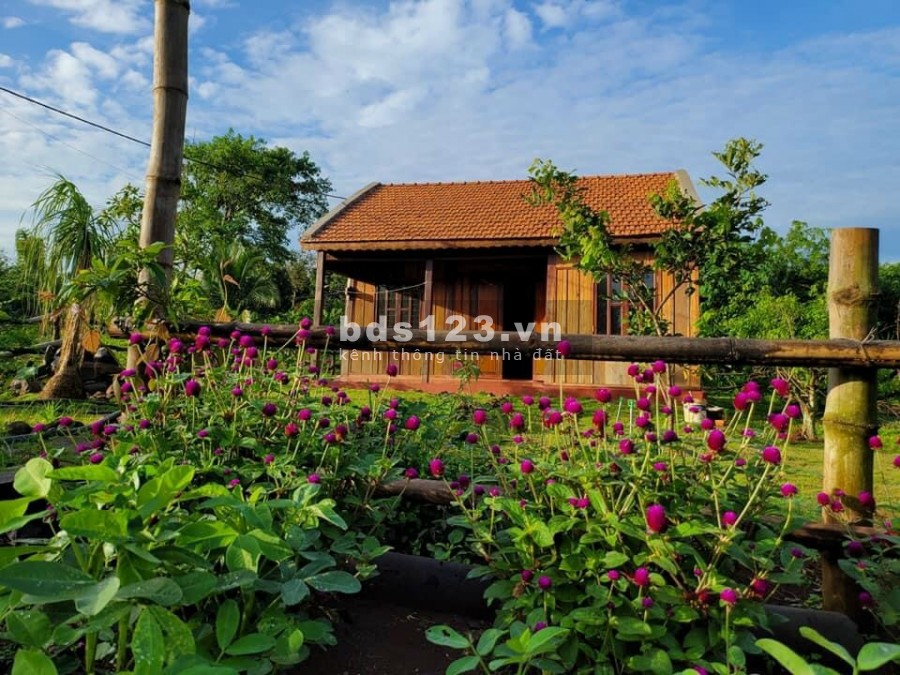 Chuyển nhượng đất vườn, homestay liền kề thành phố Bảo Lộc, gia thoả thuận