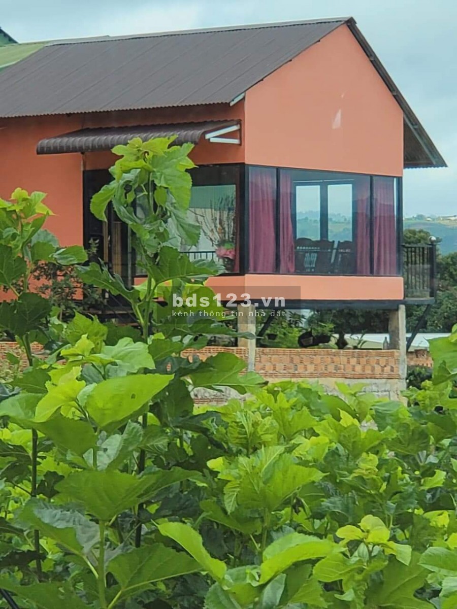 Chuyển nhượng đất vườn, homestay liền kề thành phố Bảo Lộc, gia thoả thuận