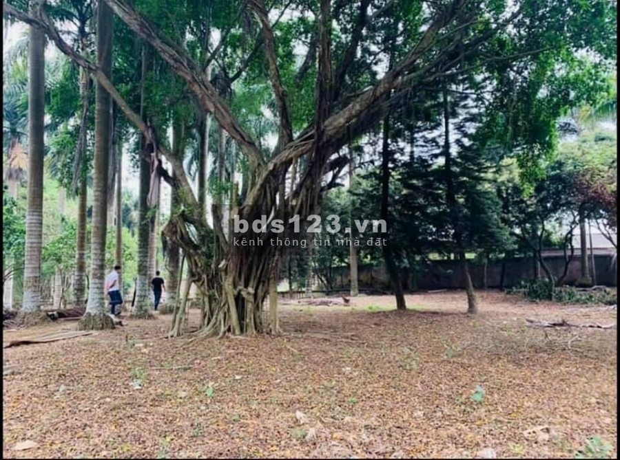 Đất diện tích 5100m2 có 400m thổ cư Hoà Sơn Lương Sơn Hoà Bình, giá bán 8.x tỷ