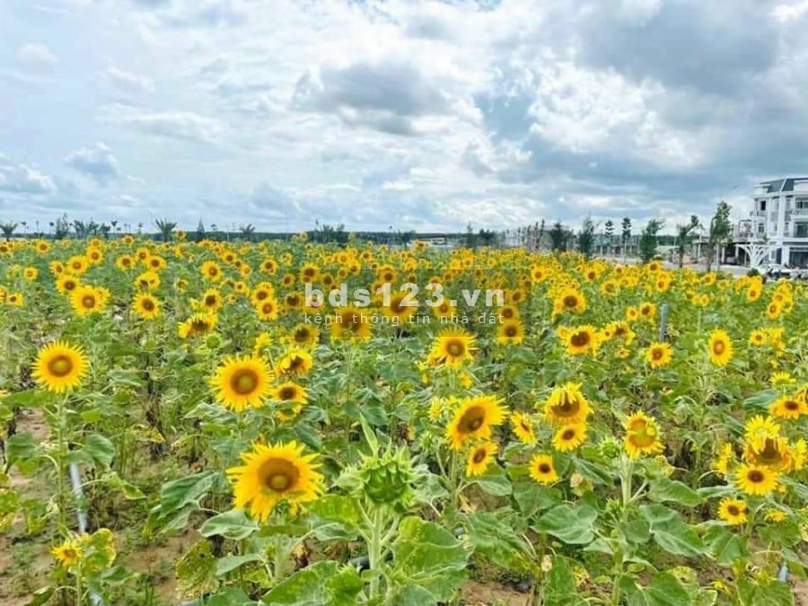 Cập nhật tiến độ mới nhất dự án Century Central TP sân bay Long Thành