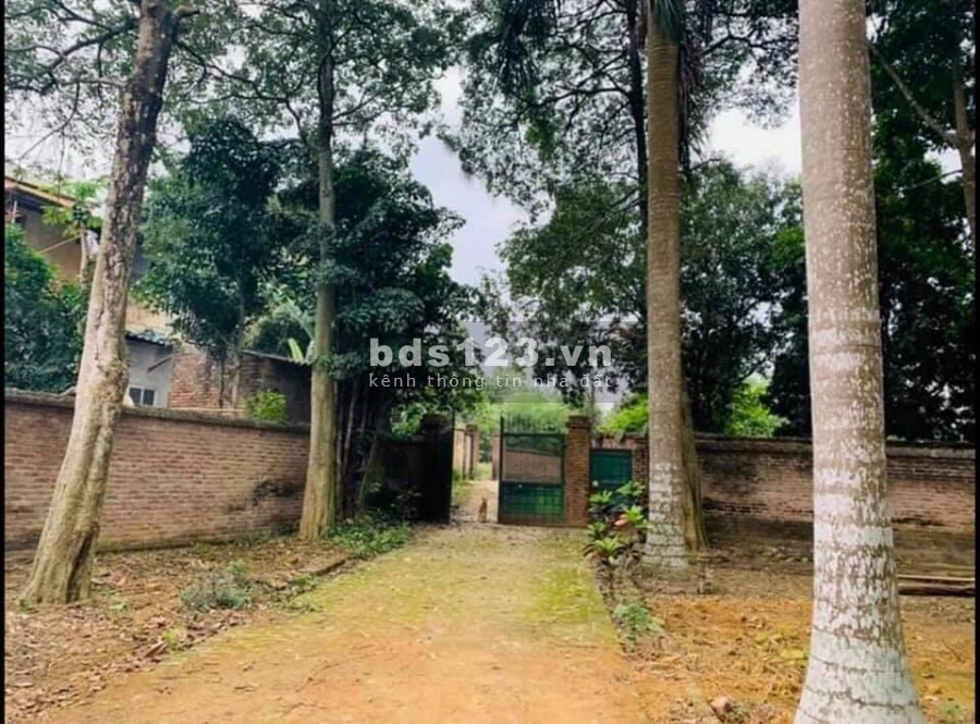 Đất diện tích 5100m2 có 400m thổ cư Hoà Sơn Lương Sơn Hoà Bình, giá bán 8.x tỷ