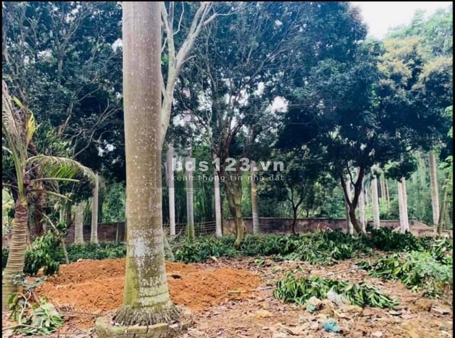 Đất diện tích 5100m2 có 400m thổ cư Hoà Sơn Lương Sơn Hoà Bình, giá bán 8.x tỷ