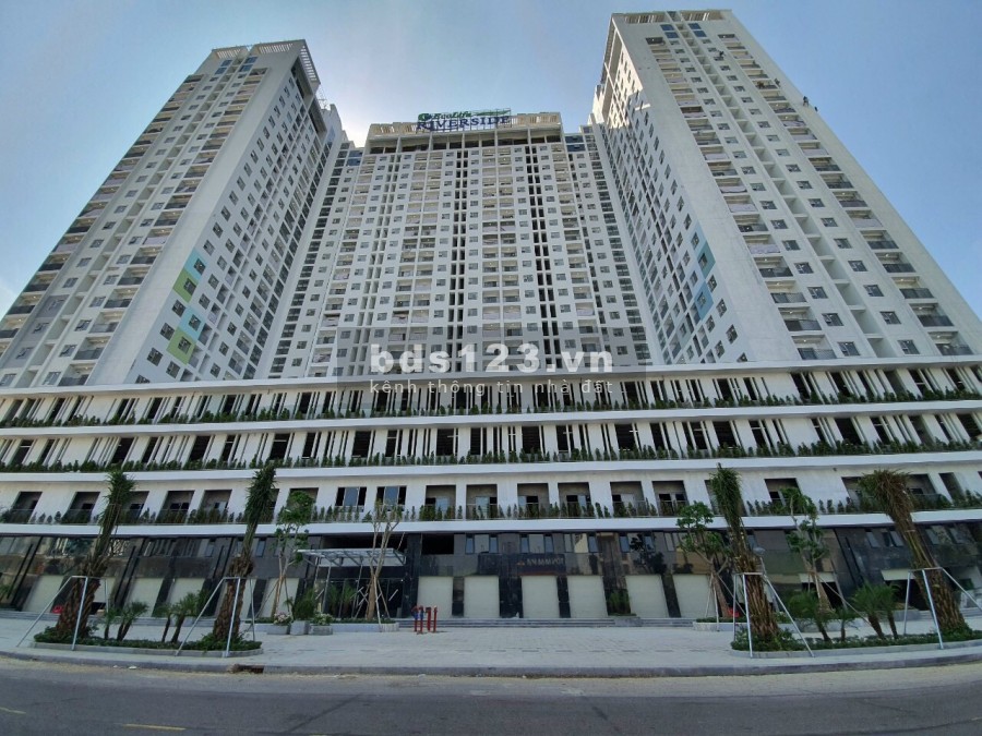 Chuyển nhượng toà bộ các suất ngoại giao giá cắt lỗ cc Ecolife Riverside Nhơn Bình