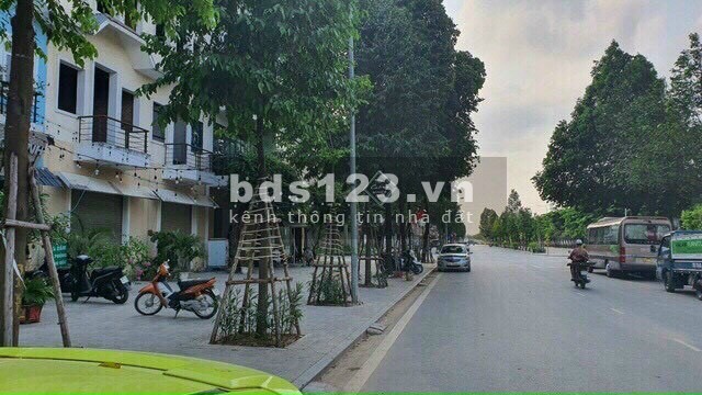 Bán biệt thự khu D Nam Cường, Hà Đông, lô góc 3 mặt tiền diện tích 100m2 Xây Full đất